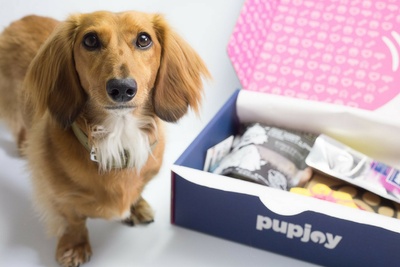 Monthly PupJoy Power Chewers Box, Treats & Toys, All Natural Photo 3