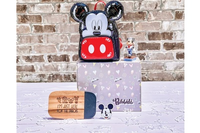 Disney Inspired Bibbidi Box Photo 1