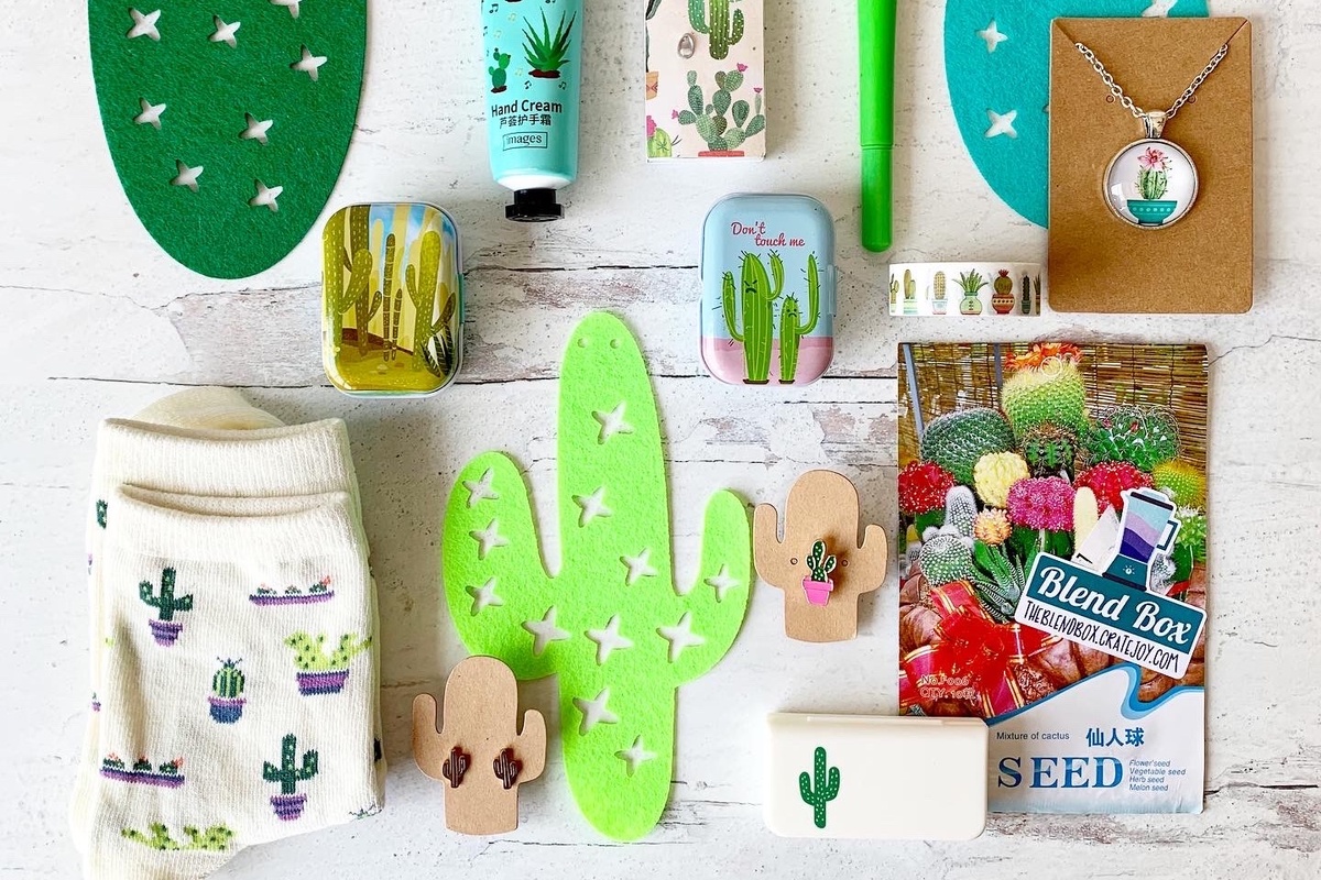Cactus Hugs - Socks, Banner, Pill Box, Seeds, Enamel Pin, Metal Tin Box, Lotion, Writing Pen, Washi Tape, Necklace, Earrings 