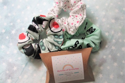 Bunches of Scrunchies Box Photo 1