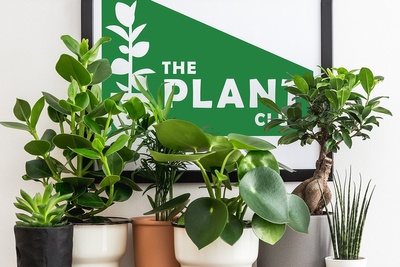 The Plant Club Photo 1