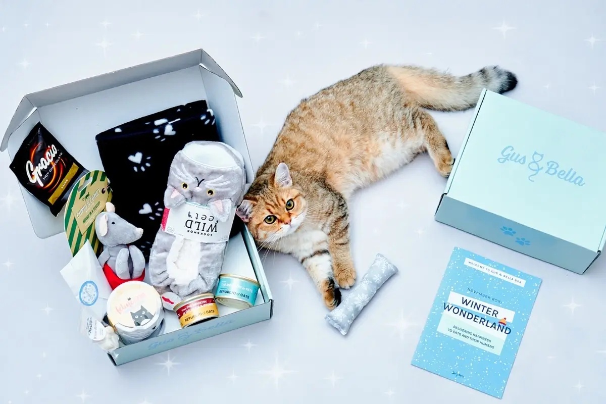 The Best Subscription Boxes for Cats (With Treats for Humans, Too)