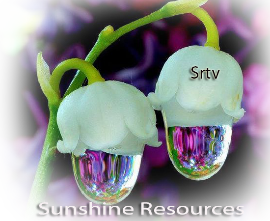 Pay For Sunshine Resources Production E Book Flutterwave