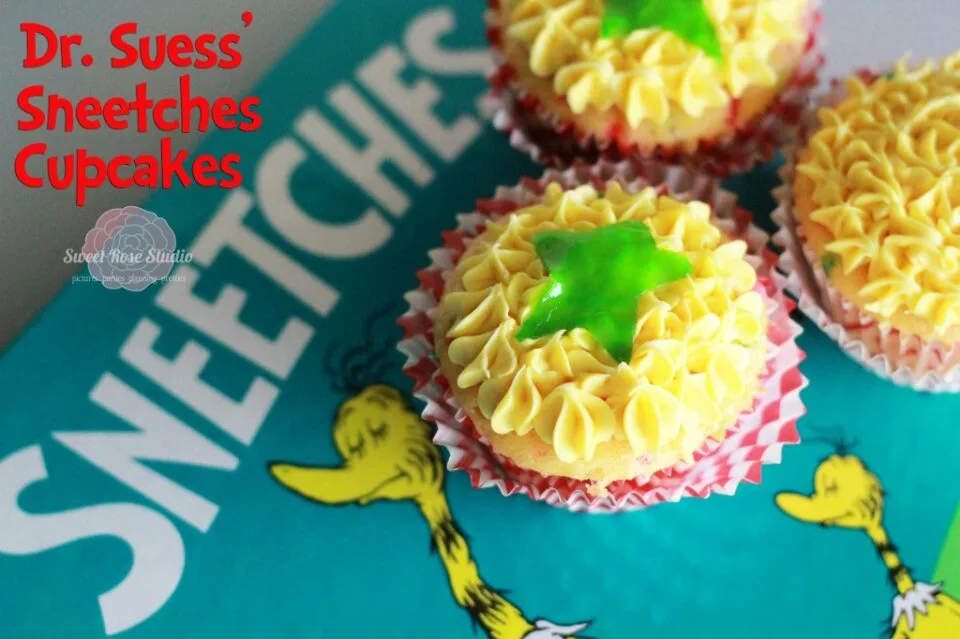 20 Superb Sneetches Activities Teaching Expertise