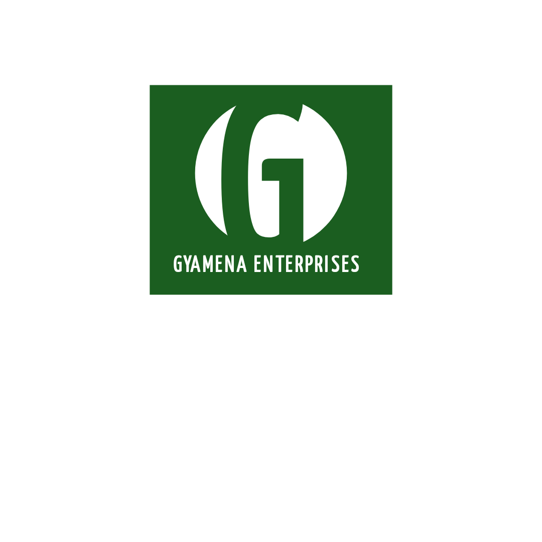 Gyamena Enterprise Flutterwave Store