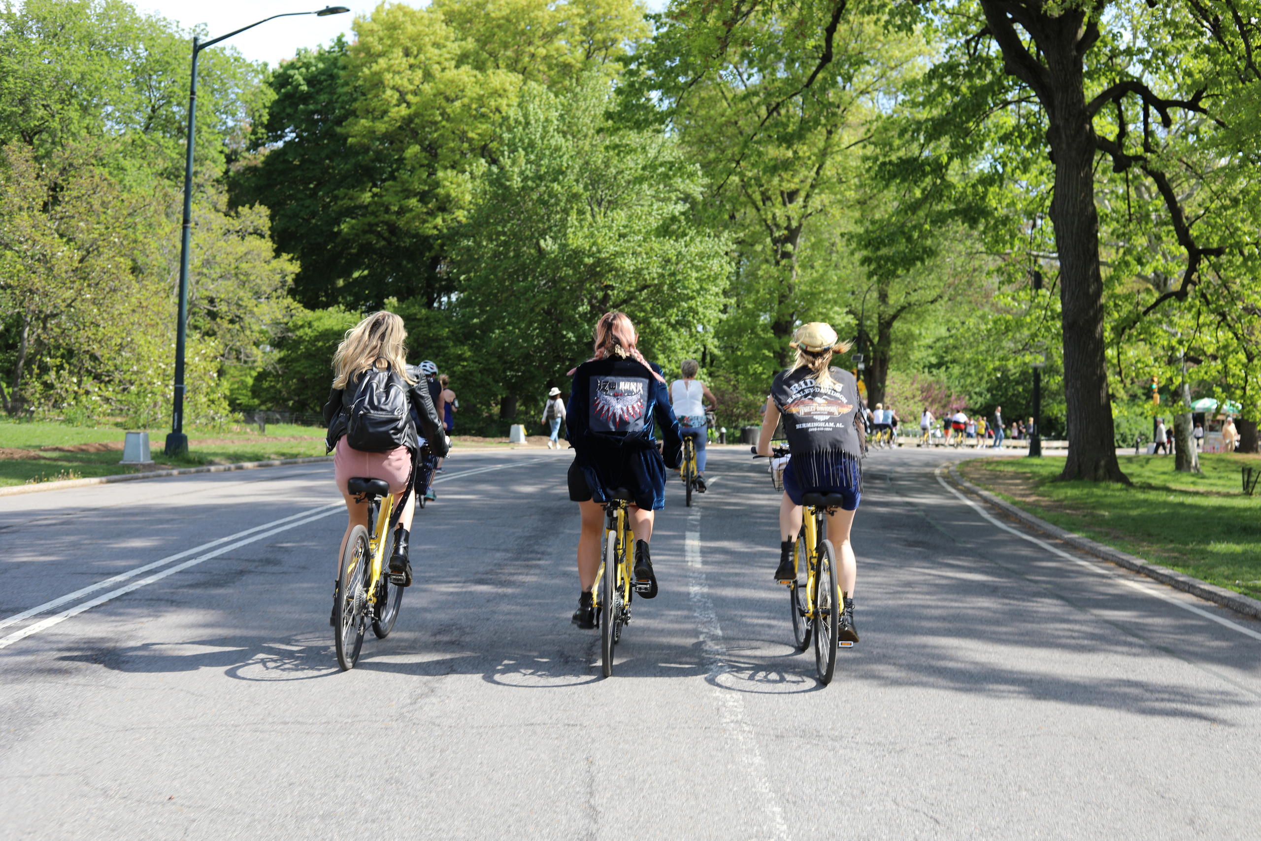New York Highlights Bike Tour - 3 Hours - Alloggi in Nuova York