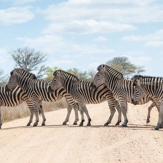 tourhub | Explore! | South Africa and Eswatini 