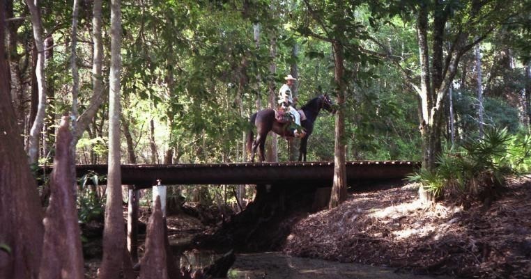 Horseback Trail Ride