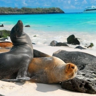 tourhub | Ecuador Galapagos Travels | 18-Days Charm of Ecuador Andes Amazon Galapagos Island Hopping 