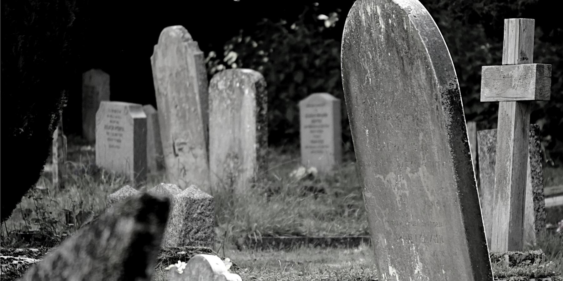 Mystic Moonlit Graveyard Ghost Tour