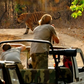 tourhub | Holidays At | Golden Triangle with Ranthambore Tour 