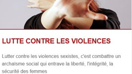 Représentation de la formation : Violences Sexistes et Sexuelles