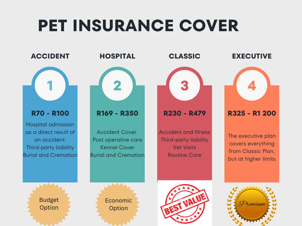 unveiling-the-real-cost-how-much-does-pet-insurance-cost-in