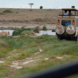 tourhub | Burigi Chato Safaris | 7 Days Tanzania Serengeti Wildebeest Migration Safari Packages for 2023, 2024, and 2025 With BURIGI CHATO SAFARIS. 