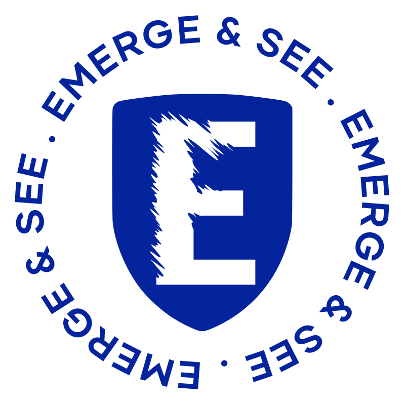 Emerge & See Ltd logo