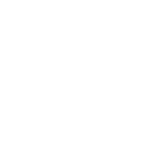 Donald V. Borgwardt Funeral Home, P.A. Logo