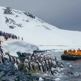 tourhub | Intrepid Travel | Antarctic Explorer: Discovering the 7th Continent  