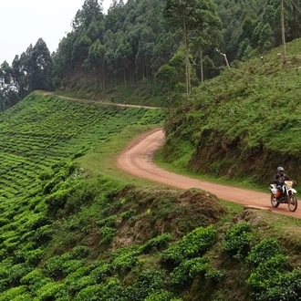 tourhub | Motor Trails | 9 Days Discover Rwanda Burundi by Motorcycle 