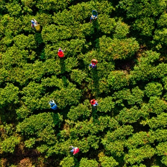 tourhub | Exodus Adventure Travels | Cycle the Back Roads of Sri Lanka 