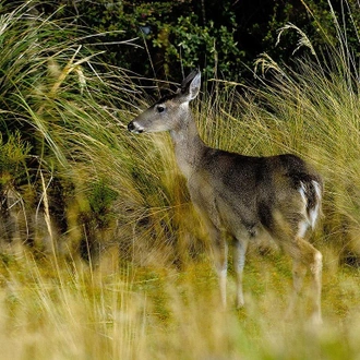 tourhub | Bamba Travel | Natural Ecuador Adventure 7D/6N 