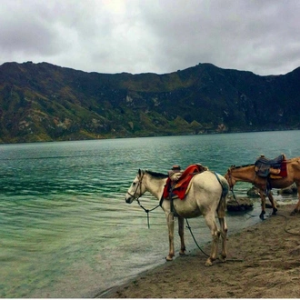 tourhub | Ecuador Galapagos Travels | 8 Days Cuyabeno Wildlife Reserve and Middle of the World Discovery 