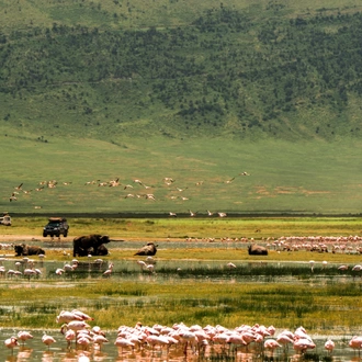 tourhub | Beach and Safari Holidays | Tanzania's Icons and Landscapes: An Unforgettable Safari 