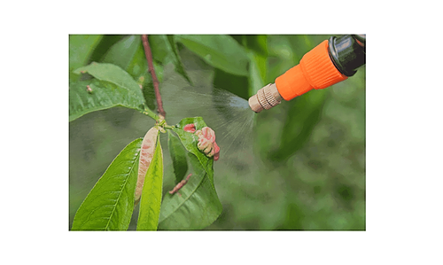 Représentation de la formation : MÉTIERS - PRODUITS PHYTOSANITAIRES ET SANTÉ : QUELLE RÉALITÉ ?