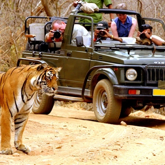 tourhub | UncleSam Holidays | Taj Mahal with Bandhavgarh Safari 