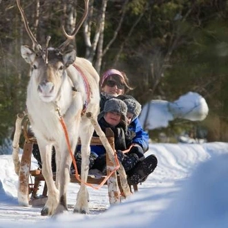 tourhub | On The Go Tours | Finland Wilderness Express - 4 Days 