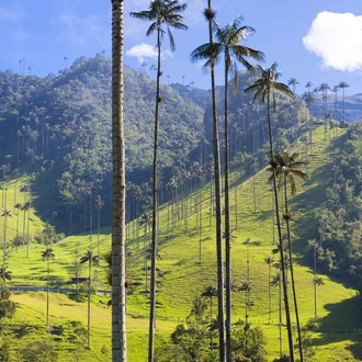 tourhub | Explore! | Contrasts of Colombia 