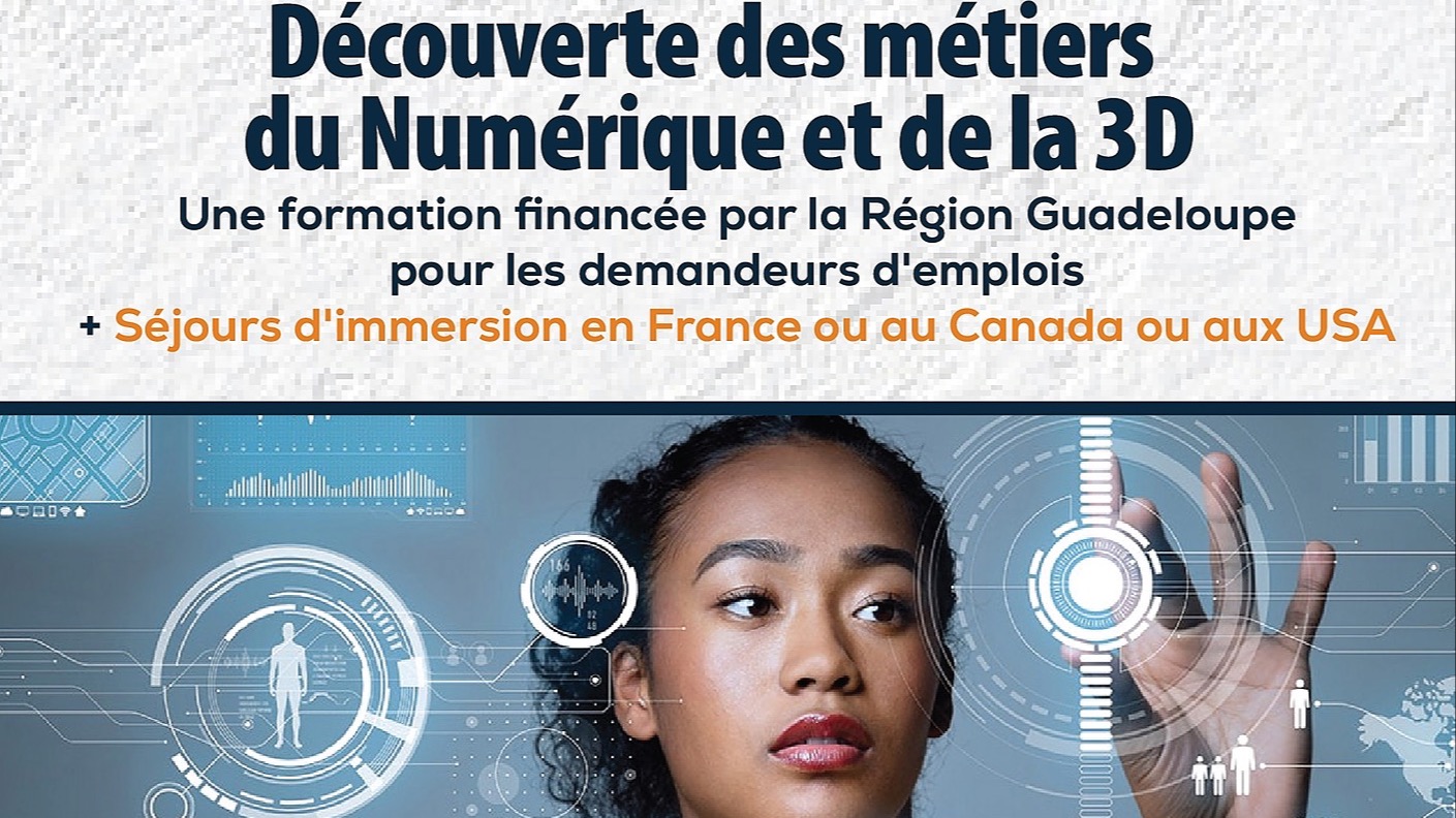 Représentation de la formation : Découvrir les métiers du numérique et de la 3D