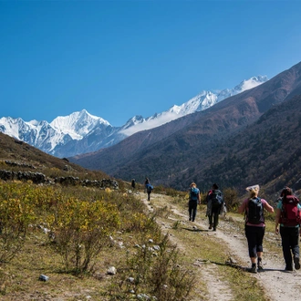 tourhub | Intrepid Travel | Tamang Heritage & Langtang Valley Trek 