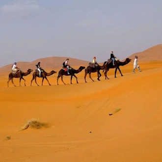 tourhub | Gray Line UAE & Oman | Guaranteed Escorted Tour UAE: The Express Package - 5 Days / 4 Nights 