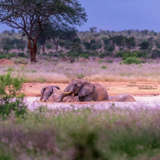 tourhub | Frenzy Adventures Limited | Karibu Kenya 