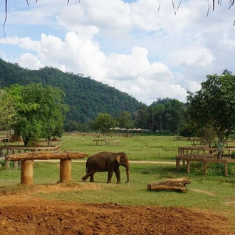 tourhub | Explore! | Best of Northern Thailand 