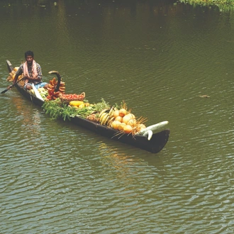 tourhub | Agora Voyages | A Journey through the Best-Kept Secrets of Kerala & Tamilnadu 