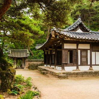 tourhub | Intrepid Travel | South Korea Highlights 