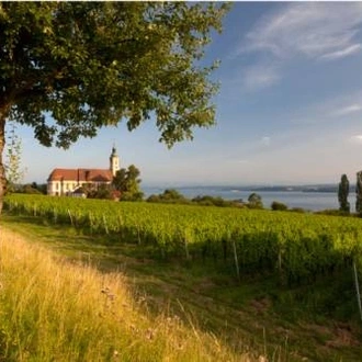 tourhub | UTracks | Lake Constance Circuit by Bike 