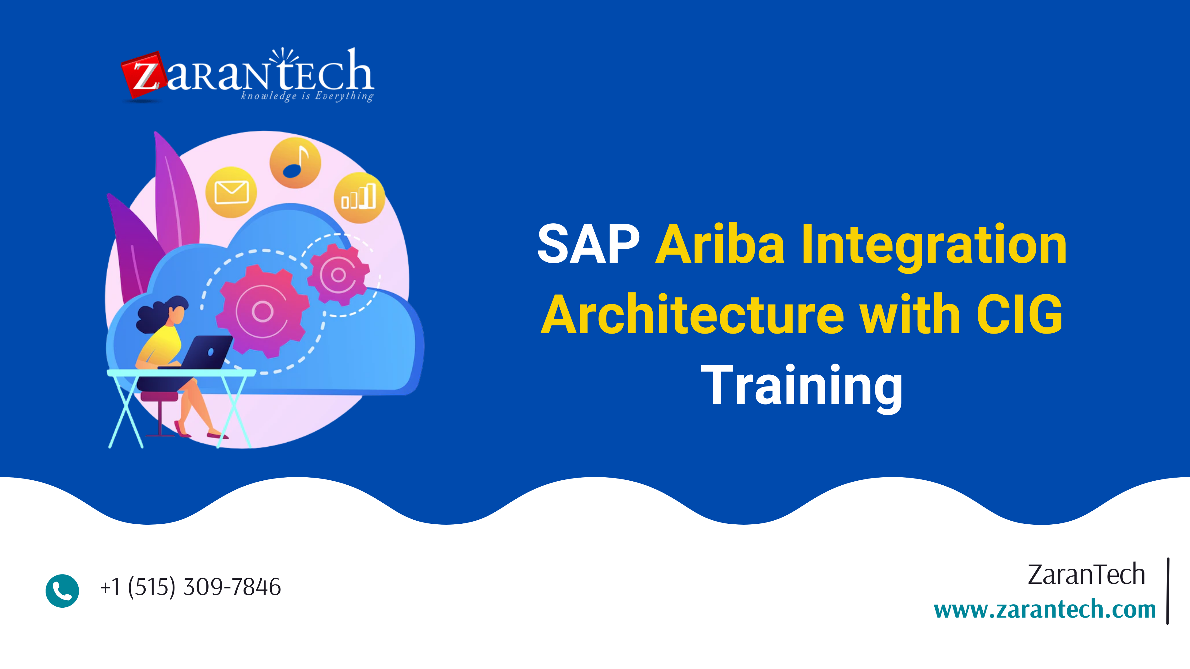 SAP Ariba Integration Architecture With CIG Training | ZaranTech