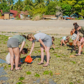 tourhub | Backpacking Tours | Turtle Conservation: Bali 