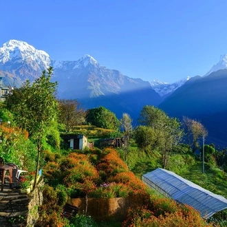 tourhub | Sherpa Expedition & Trekking | Ghorepani Poon Hill Trek 5 Days 