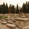 Sidi Bel Abbes Cemetery, Graves [2], (Sidi Bel Abbes, Algeria, 2014)