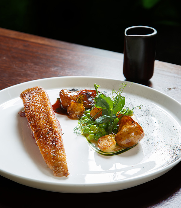 Roast dry-aged duck, glazed potatoes, turnips, duck jus