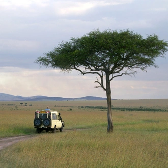 tourhub | Intrepid Travel | Premium Kenya & Southern Africa Highlights 