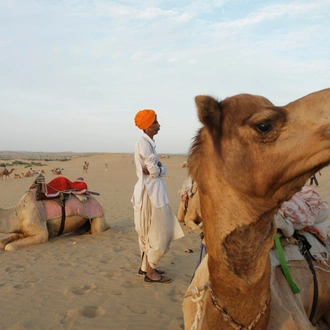 tourhub | UncleSam Holidays | Real Rajasthan 