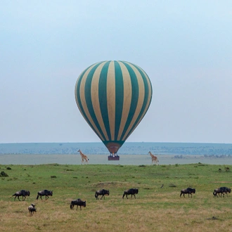 tourhub | Intrepid Travel | Premium Kenya 