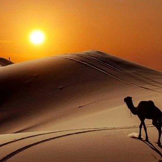 tourhub | Across Africa Tours Travel | 2 Days / 1 Nights, Fes To Fes Desert Tour 