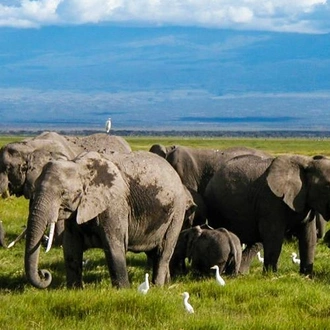 tourhub | Bamba Travel | Amboseli Safari 3D/2N 