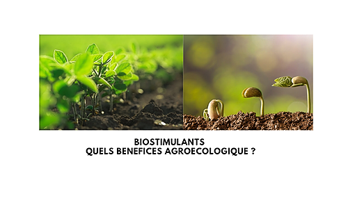 Représentation de la formation : MÉTIERS - BIOSTIMULANTS Quels bénéfices agroécologique ?   