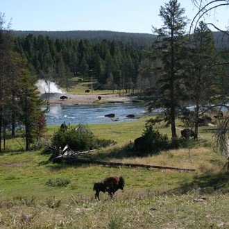 tourhub | Exodus Adventure Travels | Yellowstone Walks & Wildlife - Camping Edition 